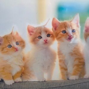 Meet your Posher, Eliana